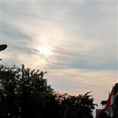 Pl