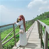Gi