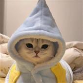 Lễ