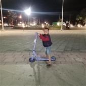 Bó