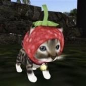 tr