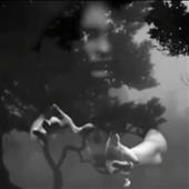 Vu