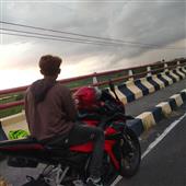 Dự