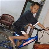 Bữ